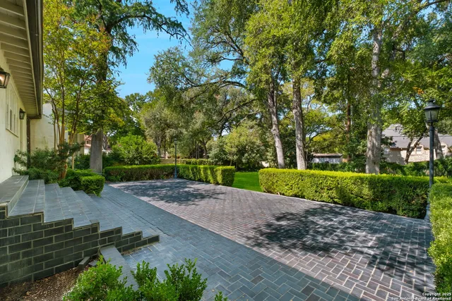 a view of a park with a bench and trees