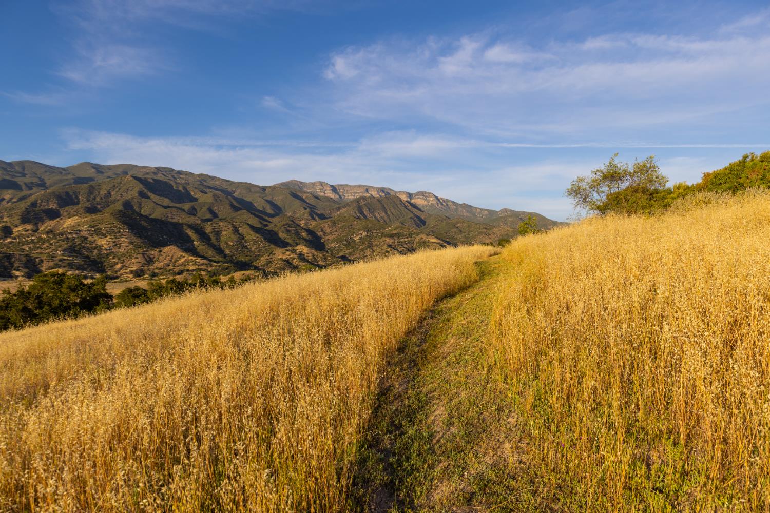 5180 Reeves Road Ojai, CA 93023 - Photo 43 of 46