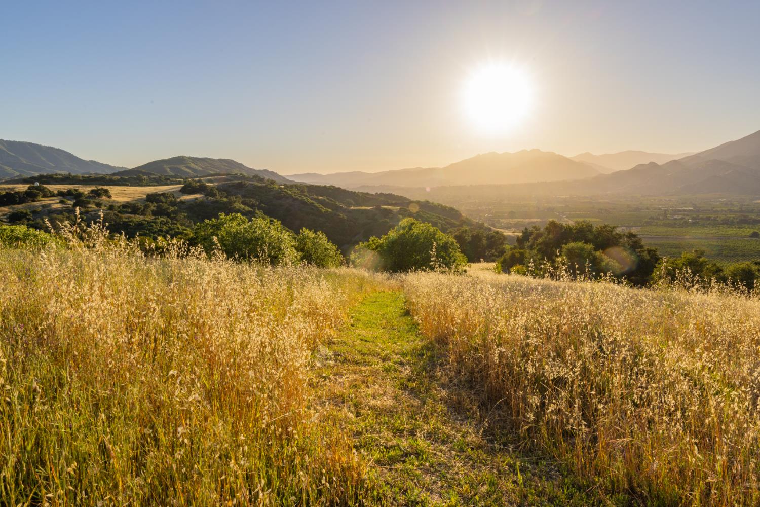 5180 Reeves Road Ojai, CA 93023 - Photo 44 of 46
