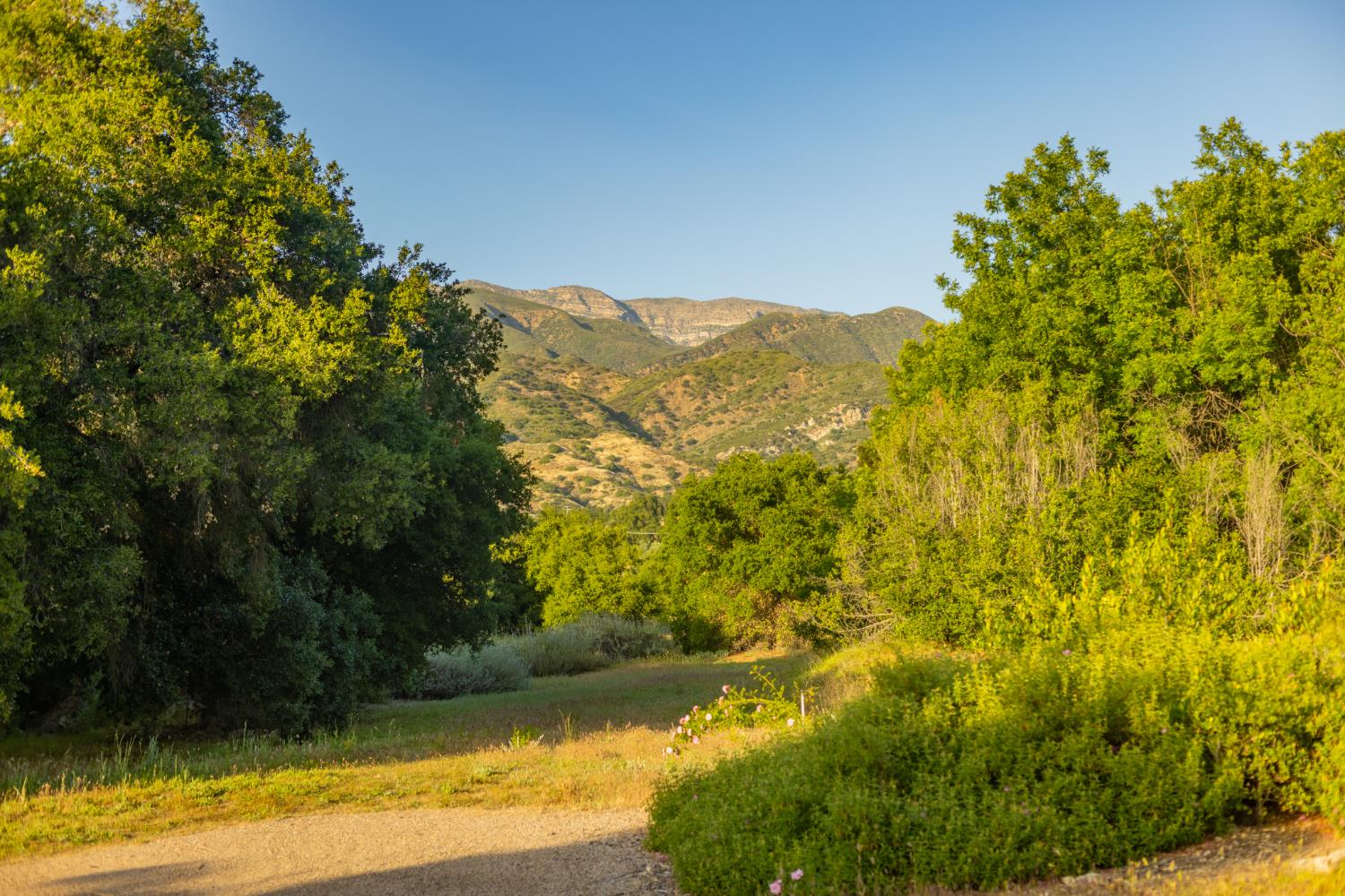 5180 Reeves Road Ojai, CA 93023 - Photo 45 of 46