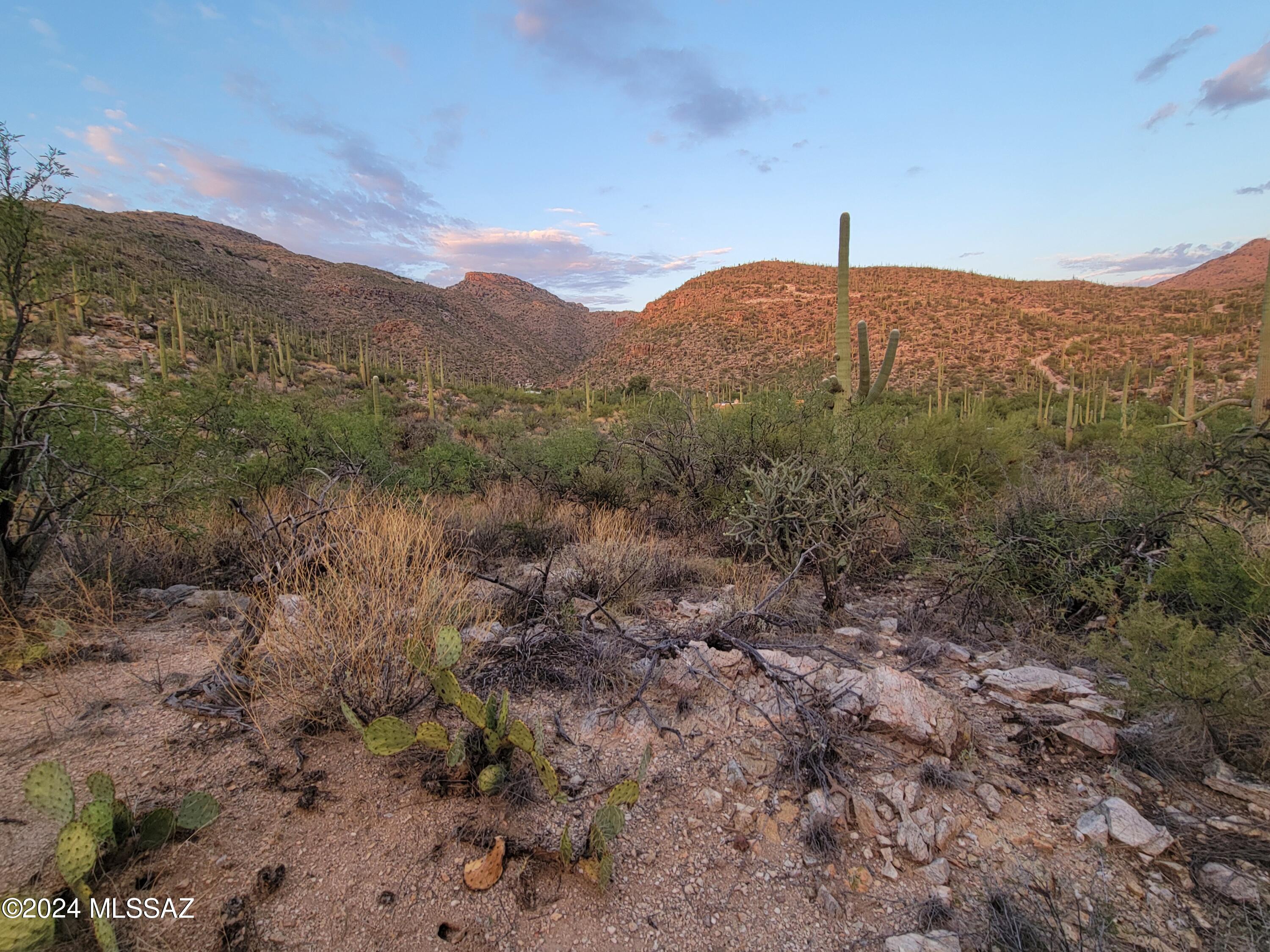 Tbd North Wentworth Road Tucson, AZ 85749 - Photo 7 of 18 Gallery Image 7