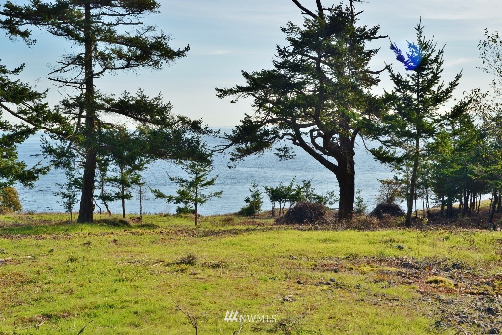 57 West Side Road Friday Harbor, WA 98250 - Photo 2 of 21 Gallery Image 2