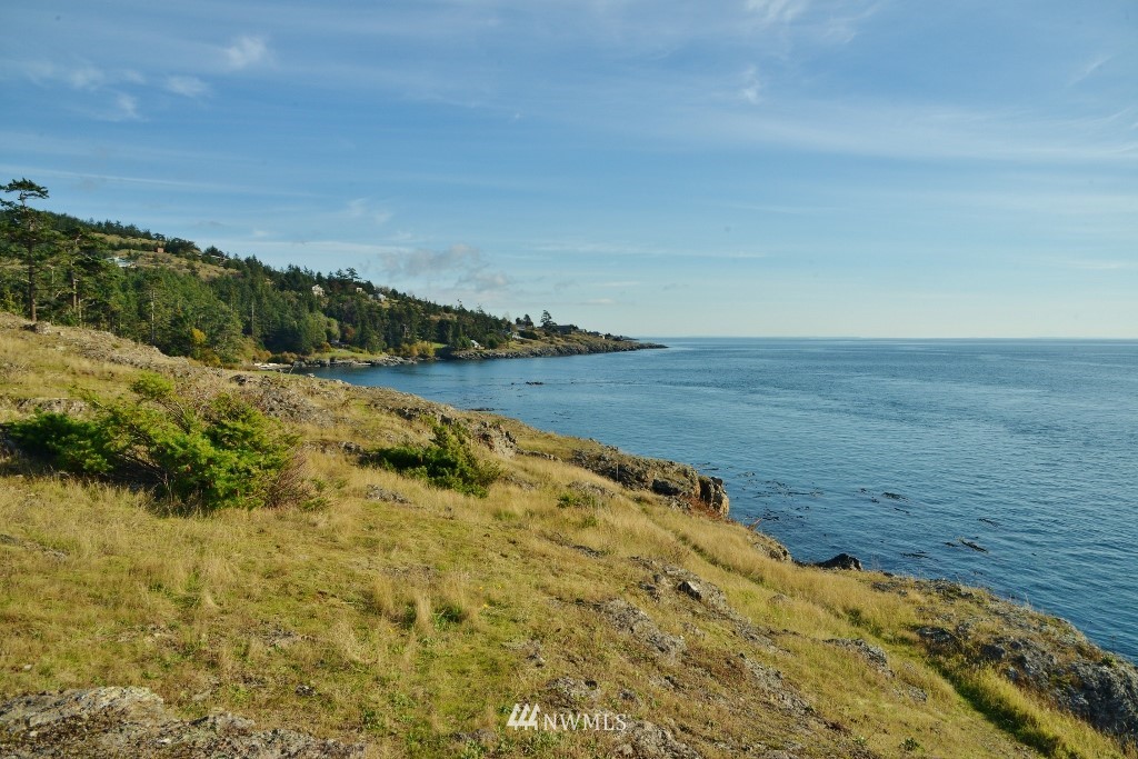 57 West Side Road Friday Harbor, WA 98250 - Photo 13 of 21 Gallery Image 13