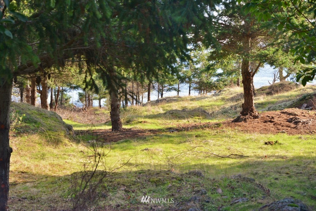 57 West Side Road Friday Harbor, WA 98250 - Photo 15 of 21 Gallery Image 15