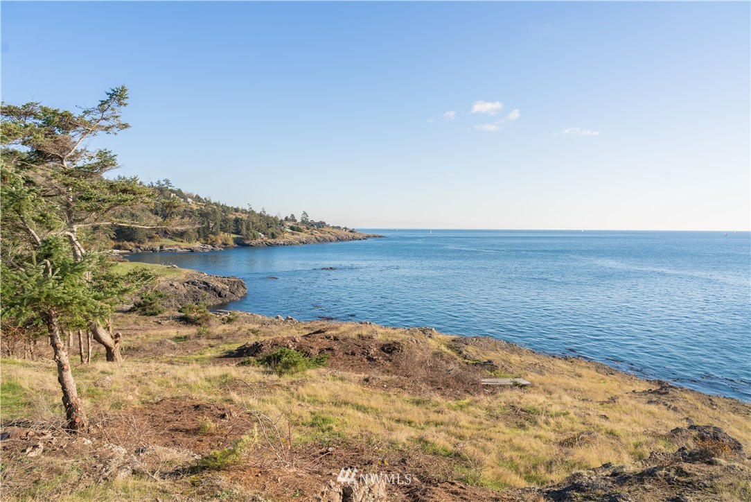 57 West Side Road Friday Harbor, WA 98250 - Photo 18 of 21 Gallery Image 18