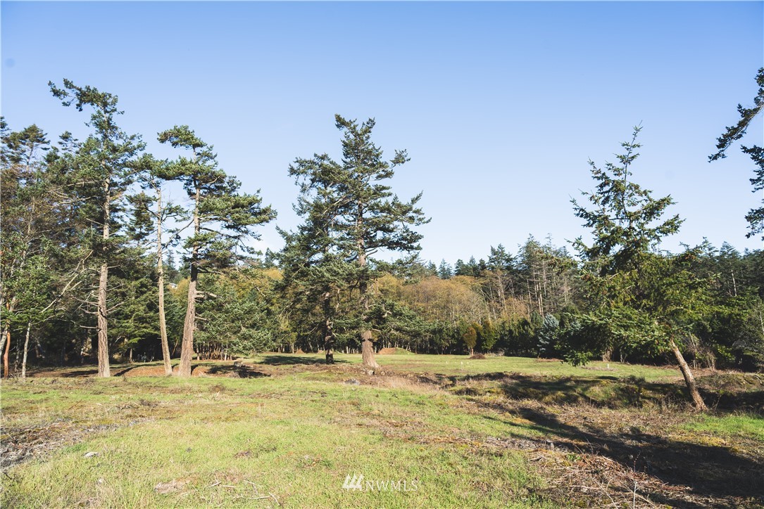 57 West Side Road Friday Harbor, WA 98250 - Photo 19 of 21 Gallery Image 19