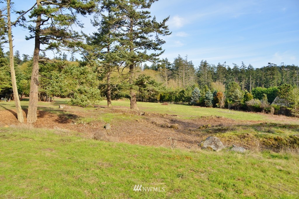 57 West Side Road Friday Harbor, WA 98250 - Photo 3 of 21 Gallery Image 3