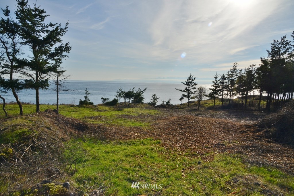 57 West Side Road Friday Harbor, WA 98250 - Photo 5 of 21 Gallery Image 5