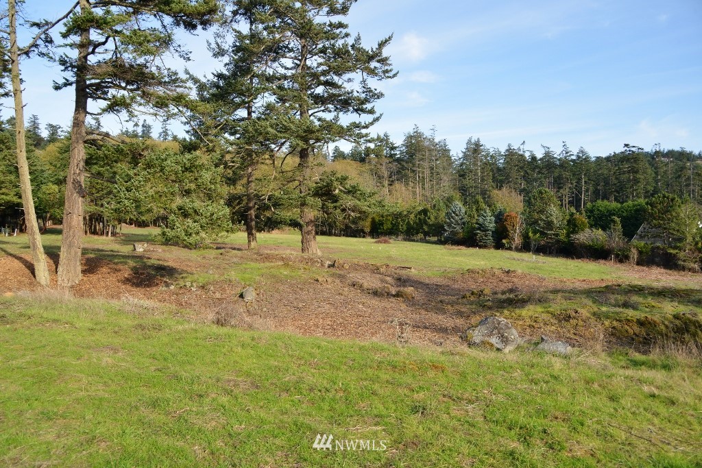 57 West Side Road Friday Harbor, WA 98250 - Photo 6 of 21 Gallery Image 6