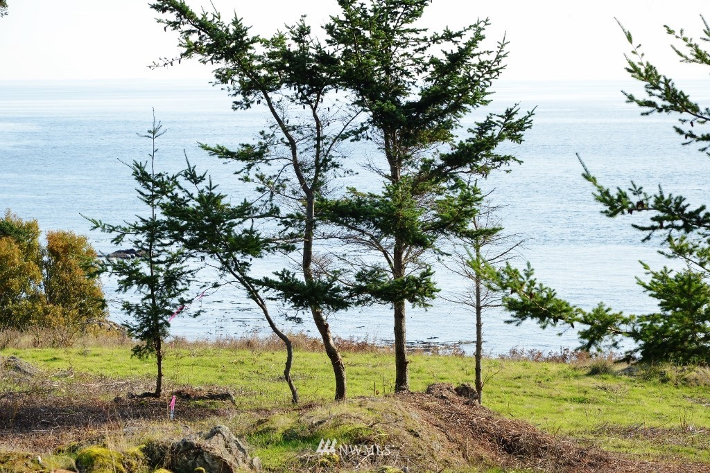 57 West Side Road Friday Harbor, WA 98250 - Photo 8 of 21 Gallery Image 8
