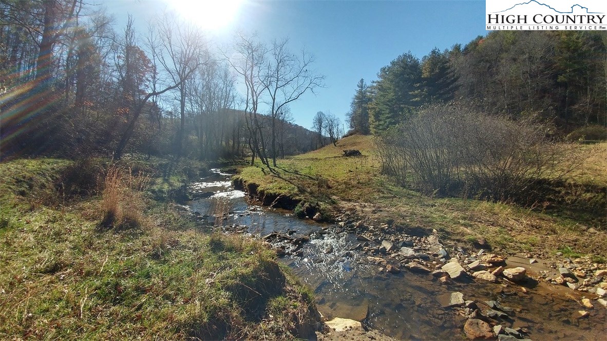Howard Colvard Road Crumpler, NC 28617 - Photo 1 of 15 Gallery Image 1