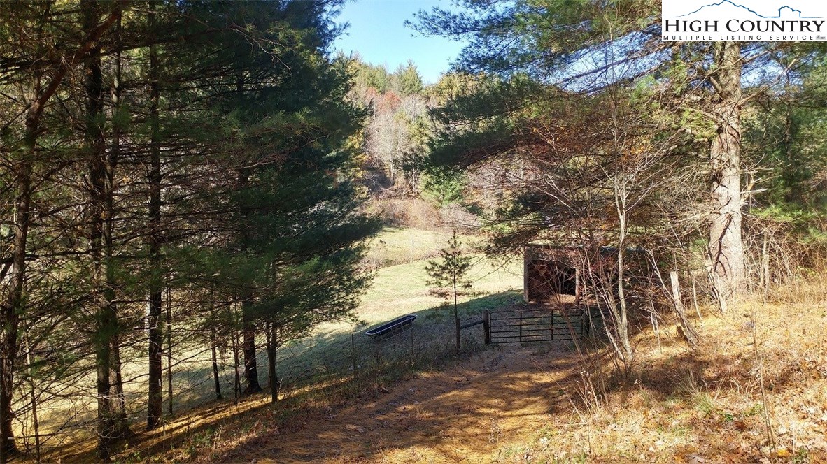 Howard Colvard Road Crumpler, NC 28617 - Photo 2 of 15 Gallery Image 2