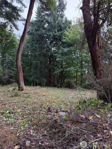 a backyard of a house