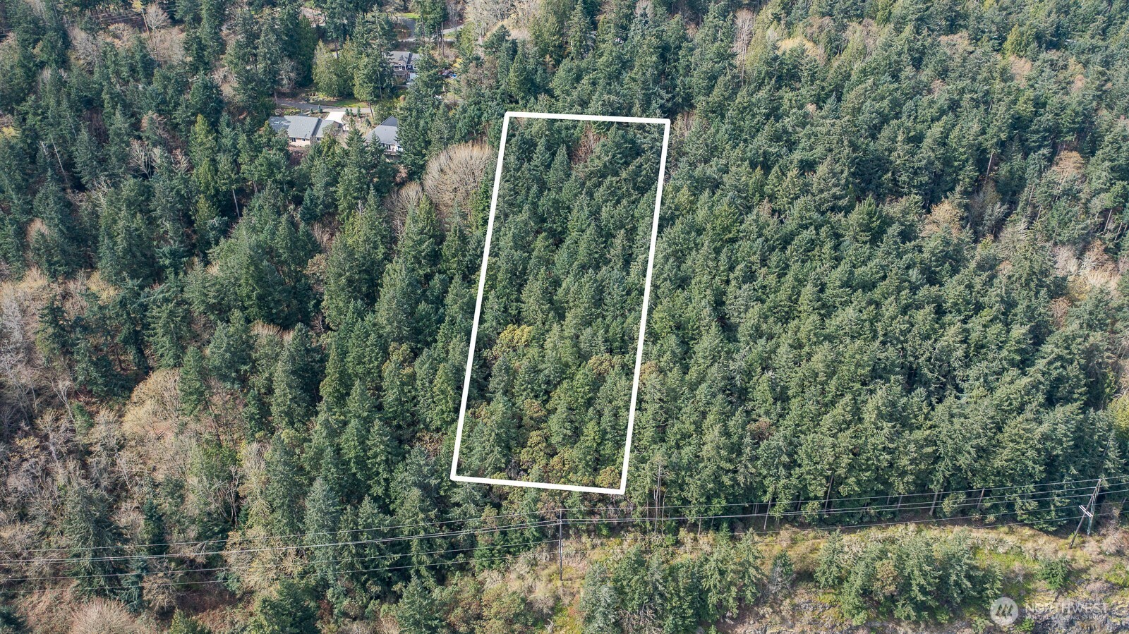 11711 Hummingbird Lane Anacortes, WA 98221 - Photo 3 of 14 a view of a yard and trees