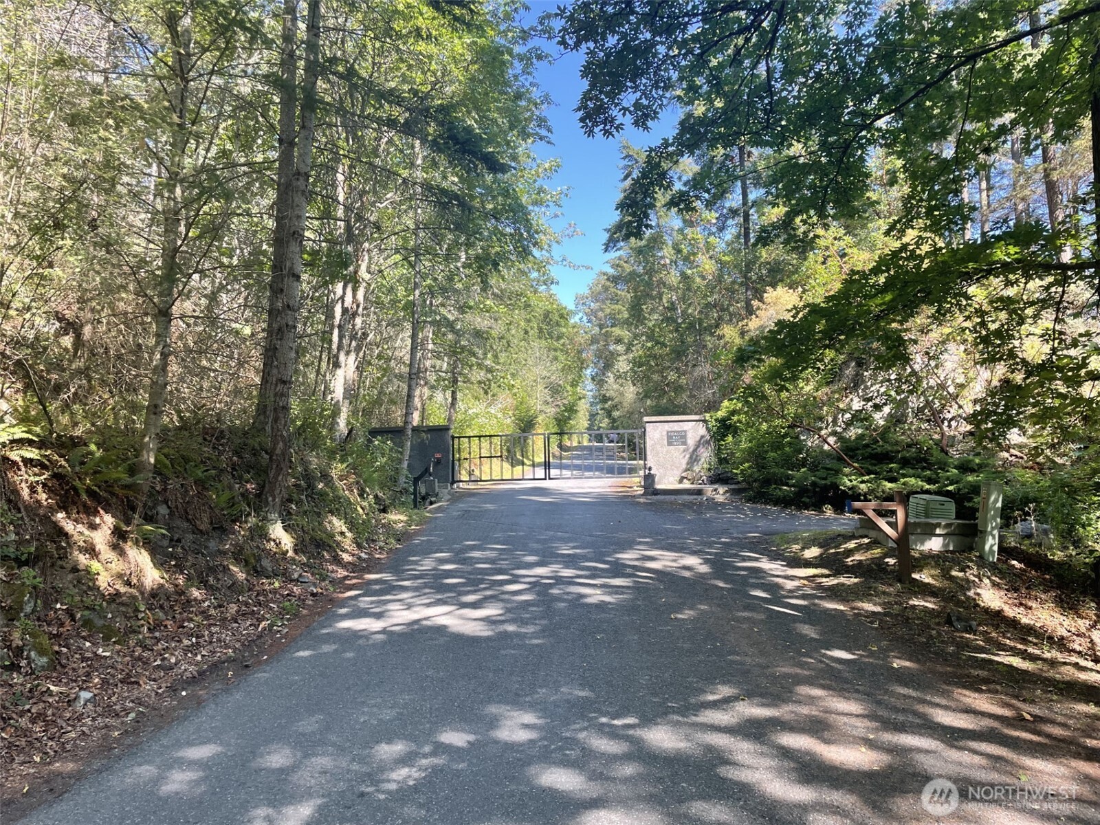 11711 Hummingbird Lane Anacortes, WA 98221 - Photo 4 of 10 a view of a yard with plants and large trees