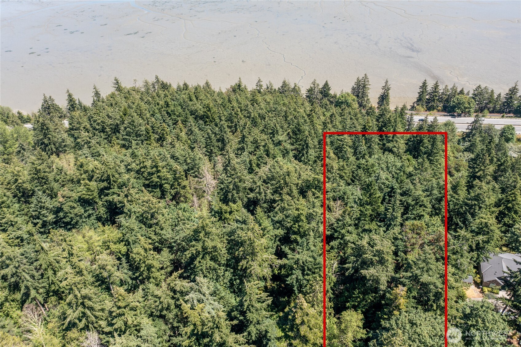 11711 Hummingbird Lane Anacortes, WA 98221 - Photo 5 of 10 a view of a garden with a tree