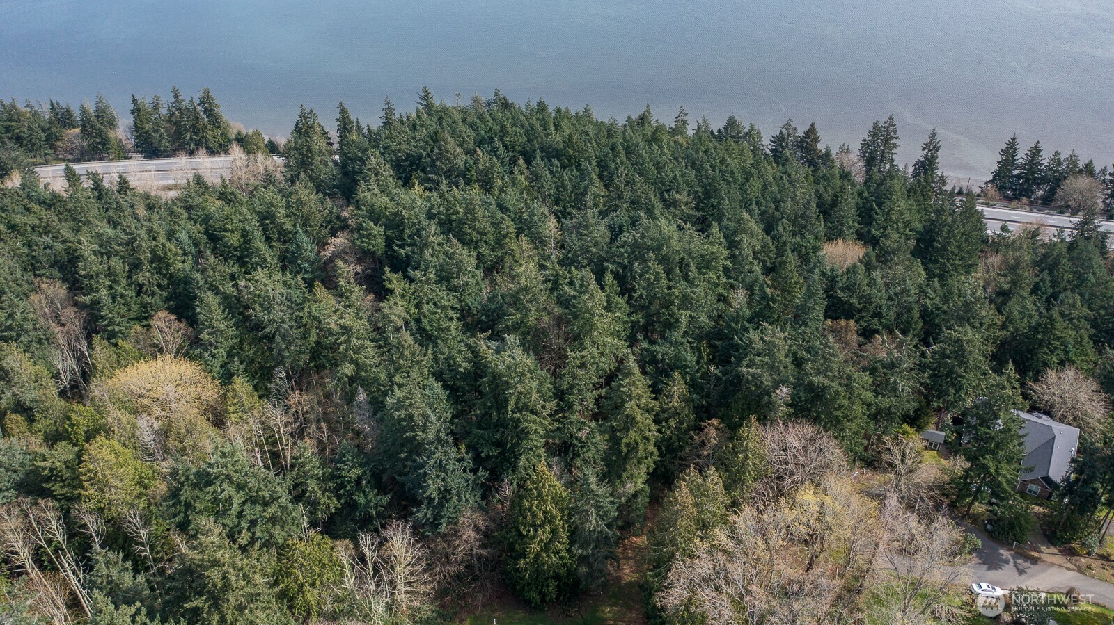 11711 Hummingbird Lane Anacortes, WA 98221 - Photo 6 of 14 a view of a field of grass and trees