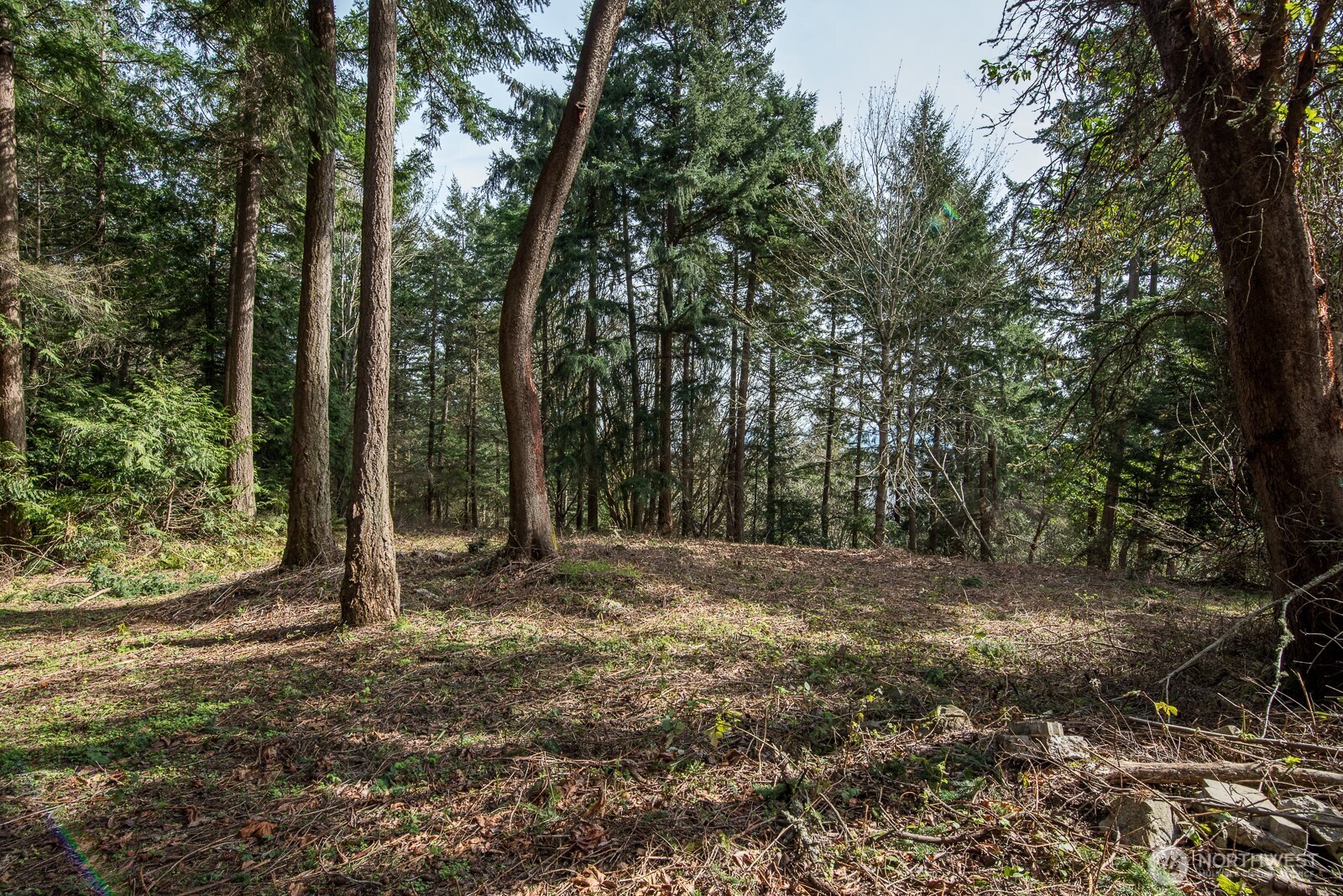 11711 Hummingbird Lane Anacortes, WA 98221 - Photo 7 of 14 a view of outdoor space with trees