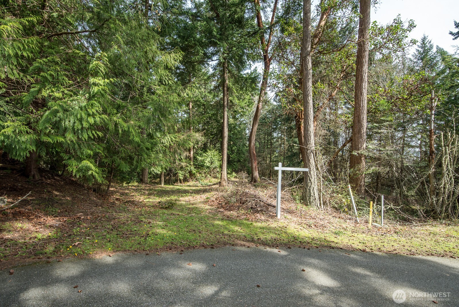 11711 Hummingbird Lane Anacortes, WA 98221 - Photo 10 of 14 a backyard of a house with large trees and plants
