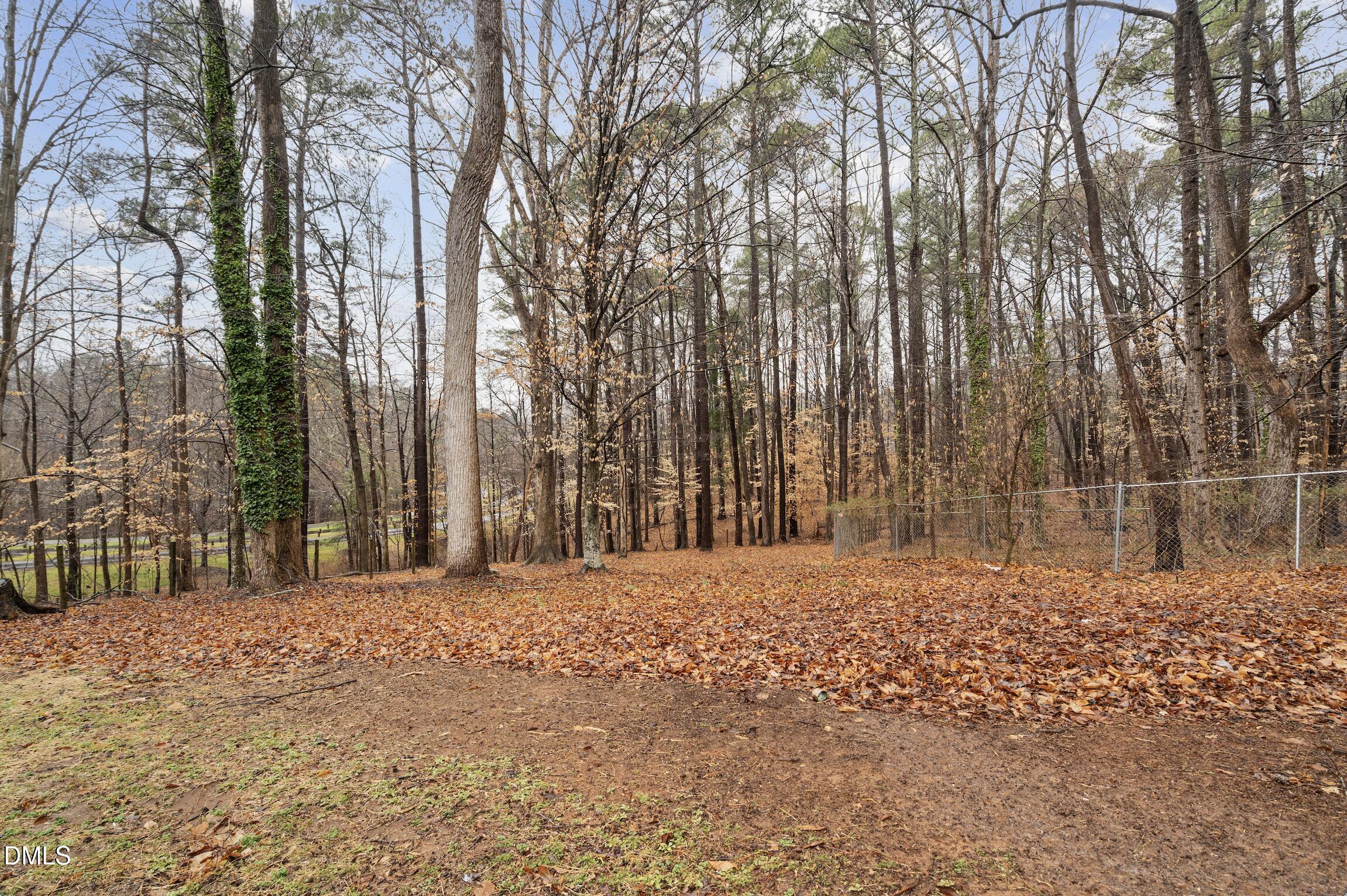1504 Homestead Road Chapel Hill, NC 27516 - Photo 32 of 39 a view of large trees with a wooden fence