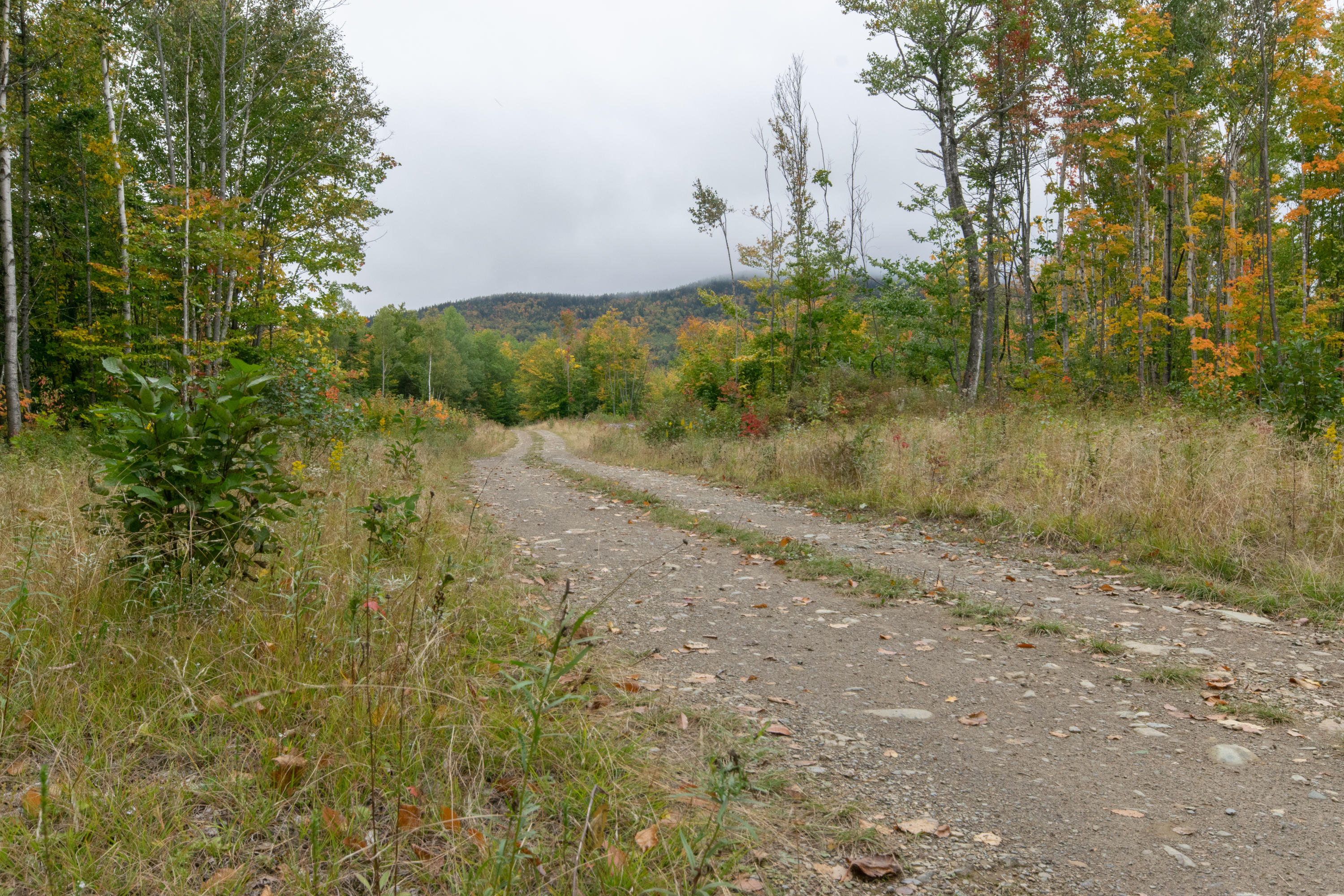 Lot 69 Cyr Rd Mount Mount Chase, ME 04765 - Photo 6 of 14 DSC_1455