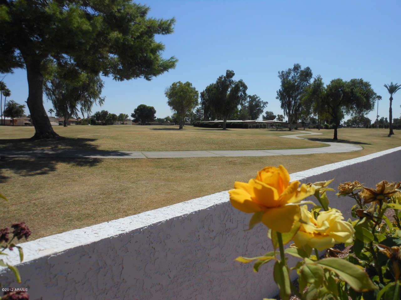 555 South Rochester Mesa, AZ 85206 - Photo 13 of 55 BACK YARD