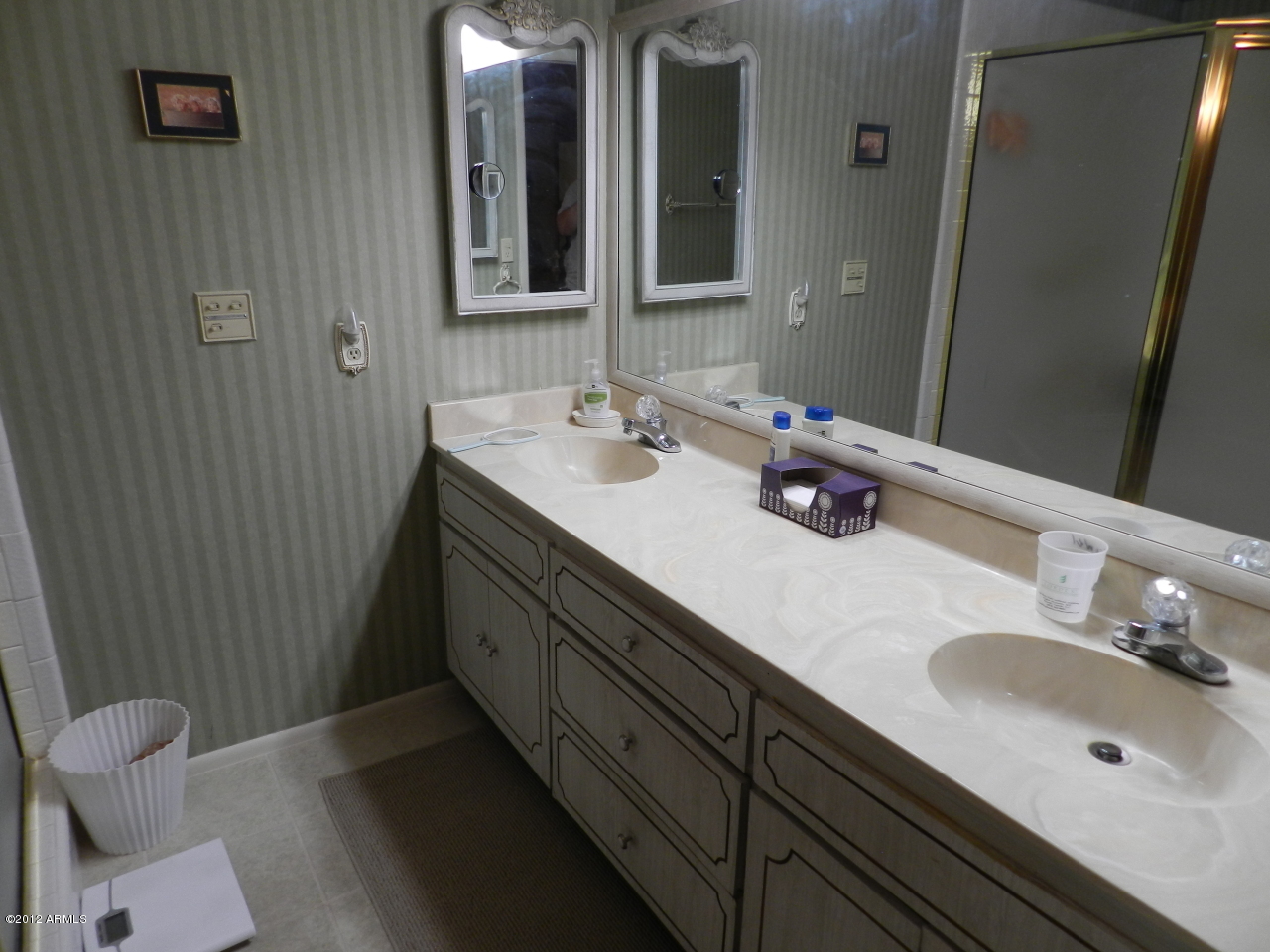 555 South Rochester Mesa, AZ 85206 - Photo 27 of 55 MASTER BATH