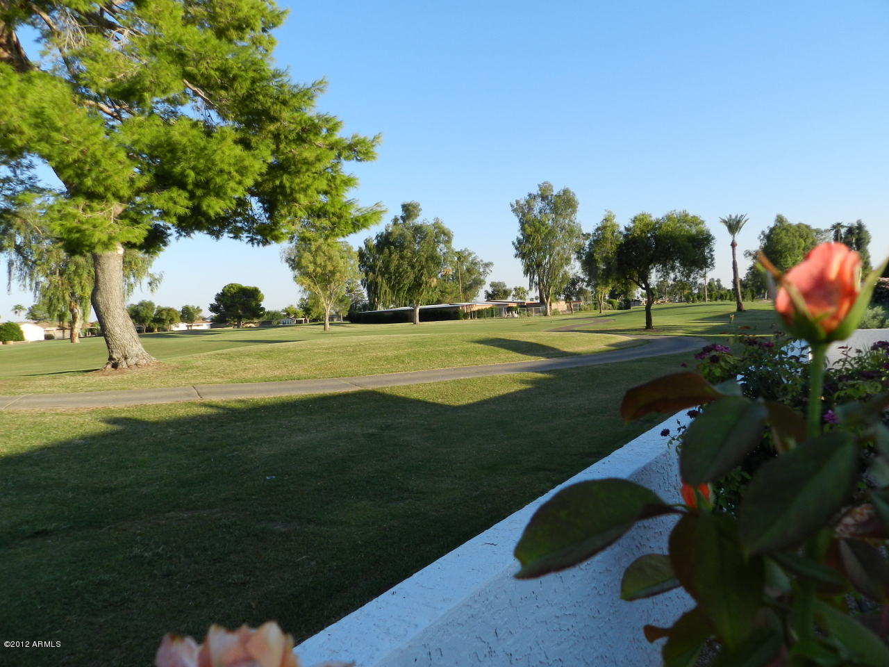 555 South Rochester Mesa, AZ 85206 - Photo 6 of 55 BACK YARD VIEW