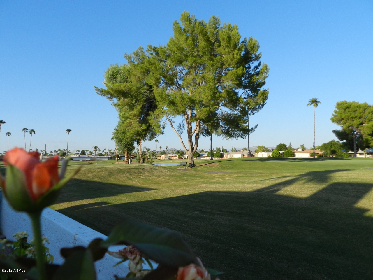 555 South Rochester Mesa, AZ 85206 - Photo 7 of 55 BACK YARD VIEW