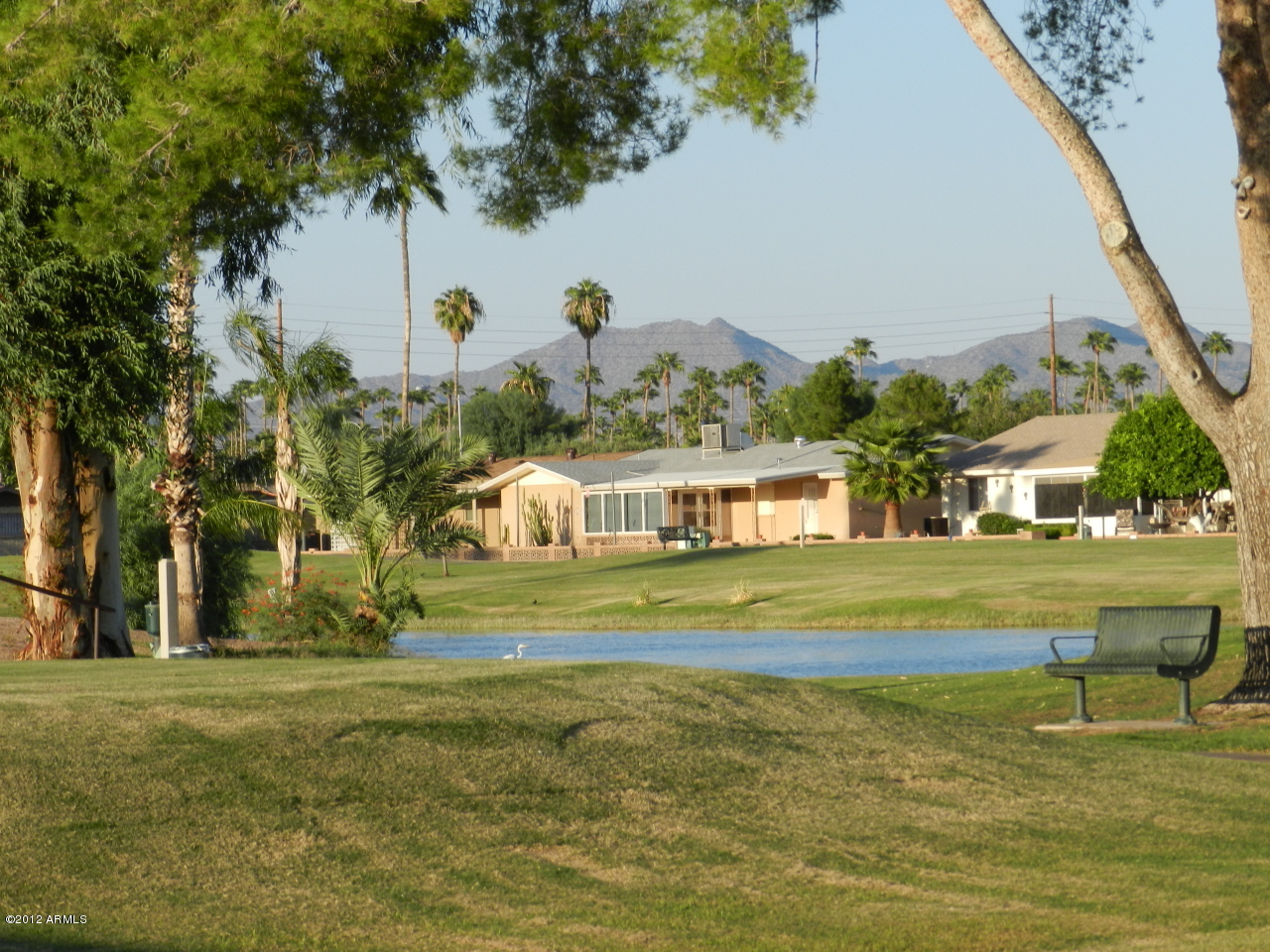 555 South Rochester Mesa, AZ 85206 - Photo 8 of 55 BACK YARD VIEW