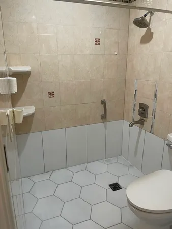 a bathroom with a toilet and a shower