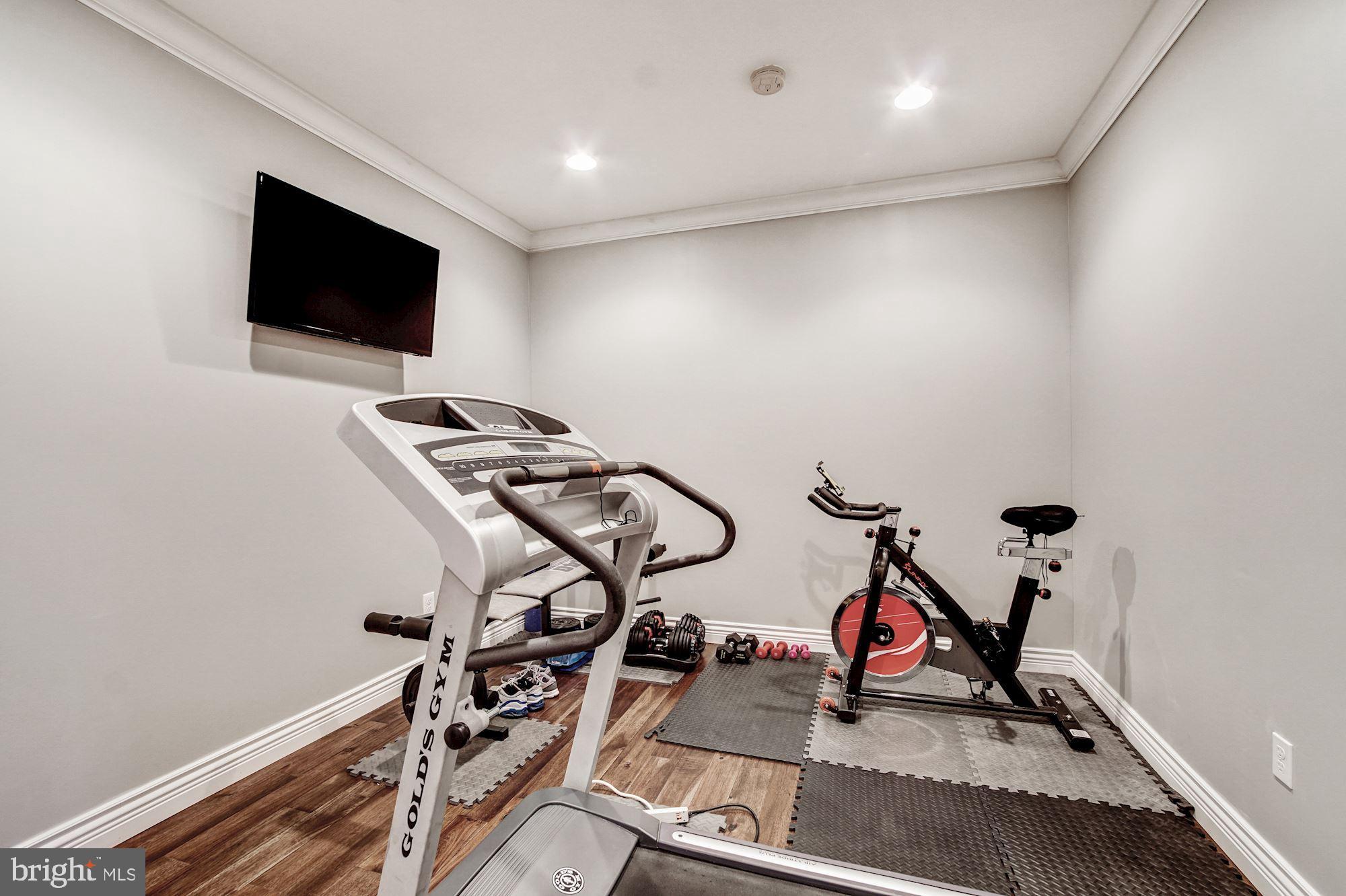 1541 Elk Run Road Downingtown, PA 19335 - Photo 33 of 40 Gym in lower level