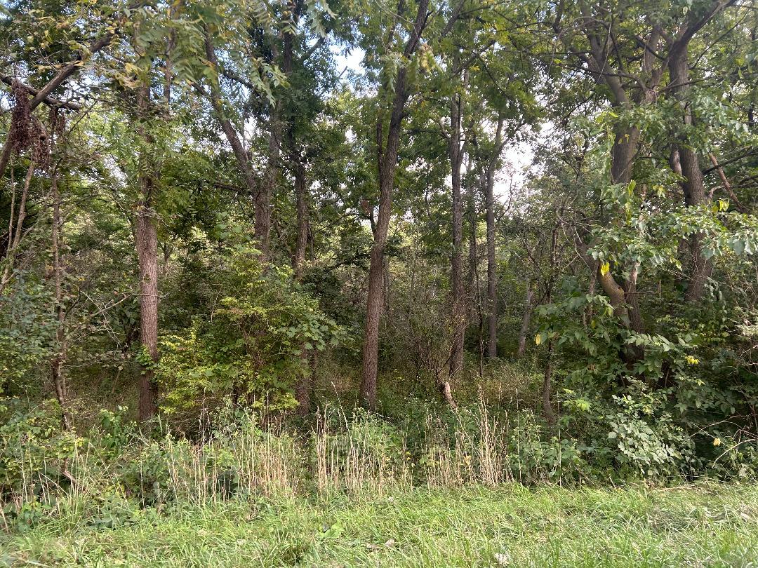 9999 Aberdeen Road Frankfort, IL 60423 - Photo 2 of 9 a view of a forest