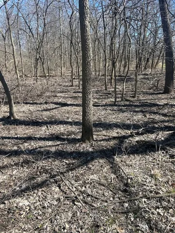 a view of house with yard