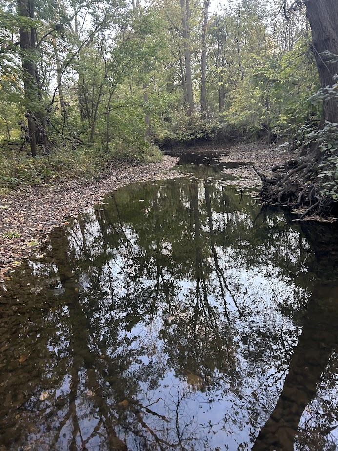 9999 Aberdeen Road Frankfort, IL 60423 - Photo 6 of 9 a backyard of a house with lots of green space