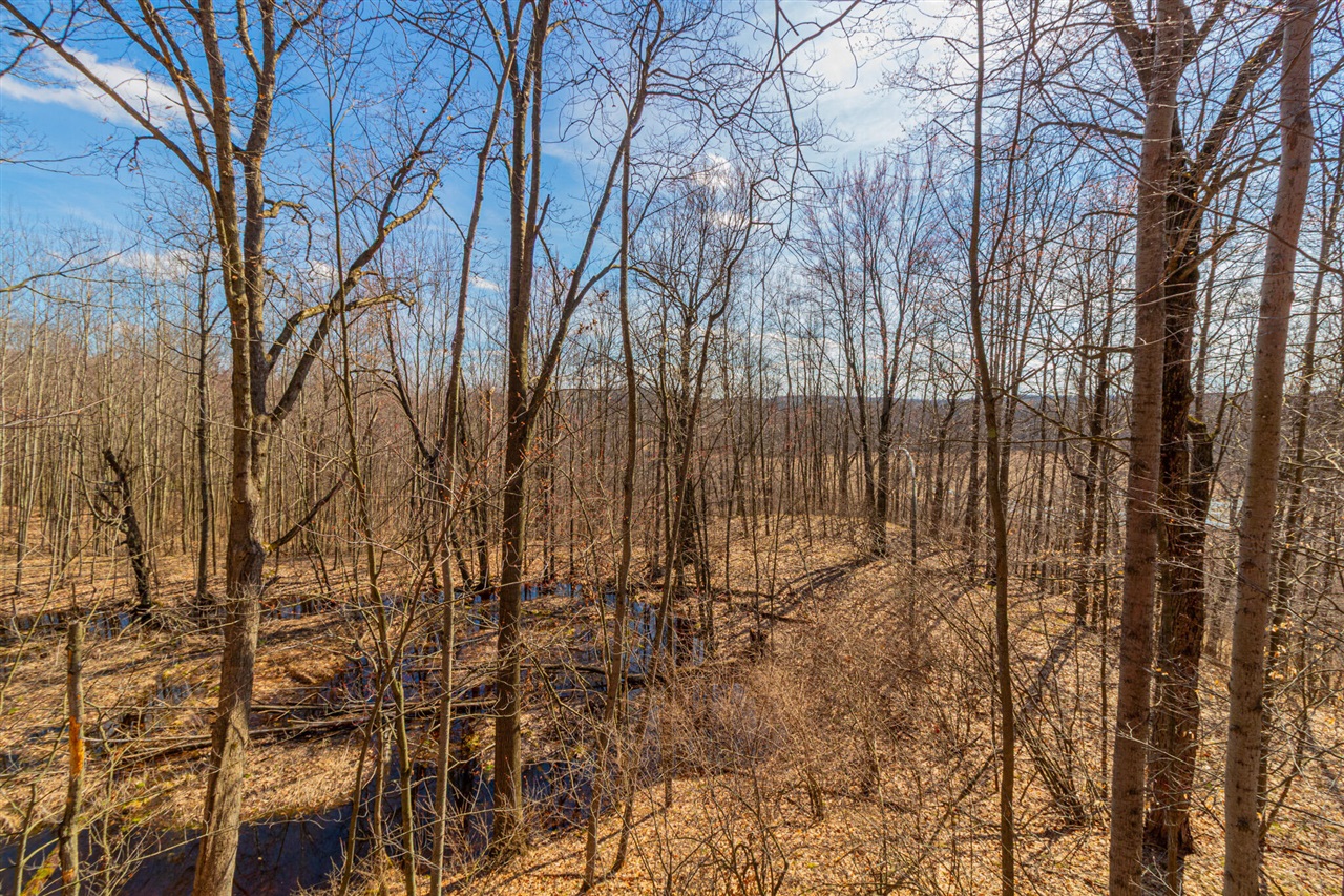 17 17 Mile Road Lakeview, MI 48850 - Photo 19 of 36