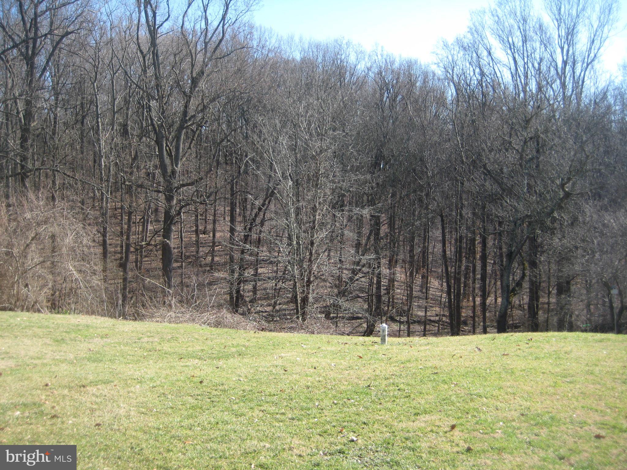 2713 Paper Mill Road Phoenix, MD 21131 - Photo 10 of 30 Great views backing up to woods