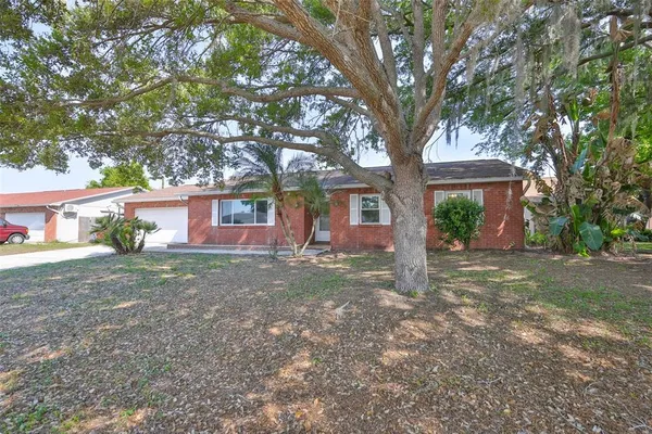 a view of a yard with a house and a tree