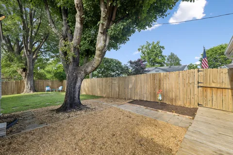 a view of a backyard with a large tree