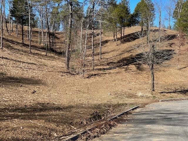 10 Hidden Ranch Way Seymour, TN 37865 - Photo 16 of 25 Gallery Image 16