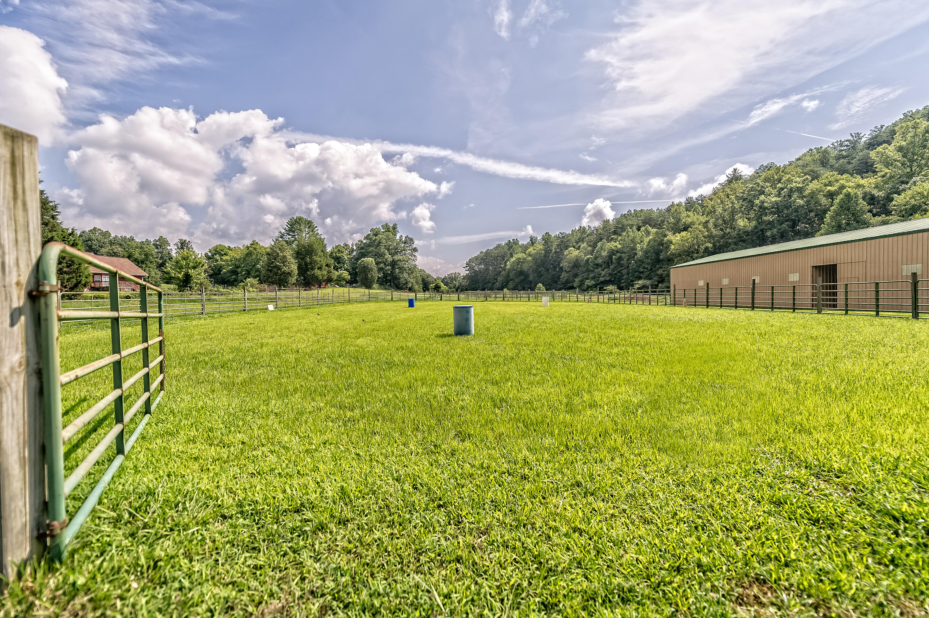 203 Charles Butler Road Oliver Springs, TN 37840 - Photo 16 of 40 203 Charles Butler Road