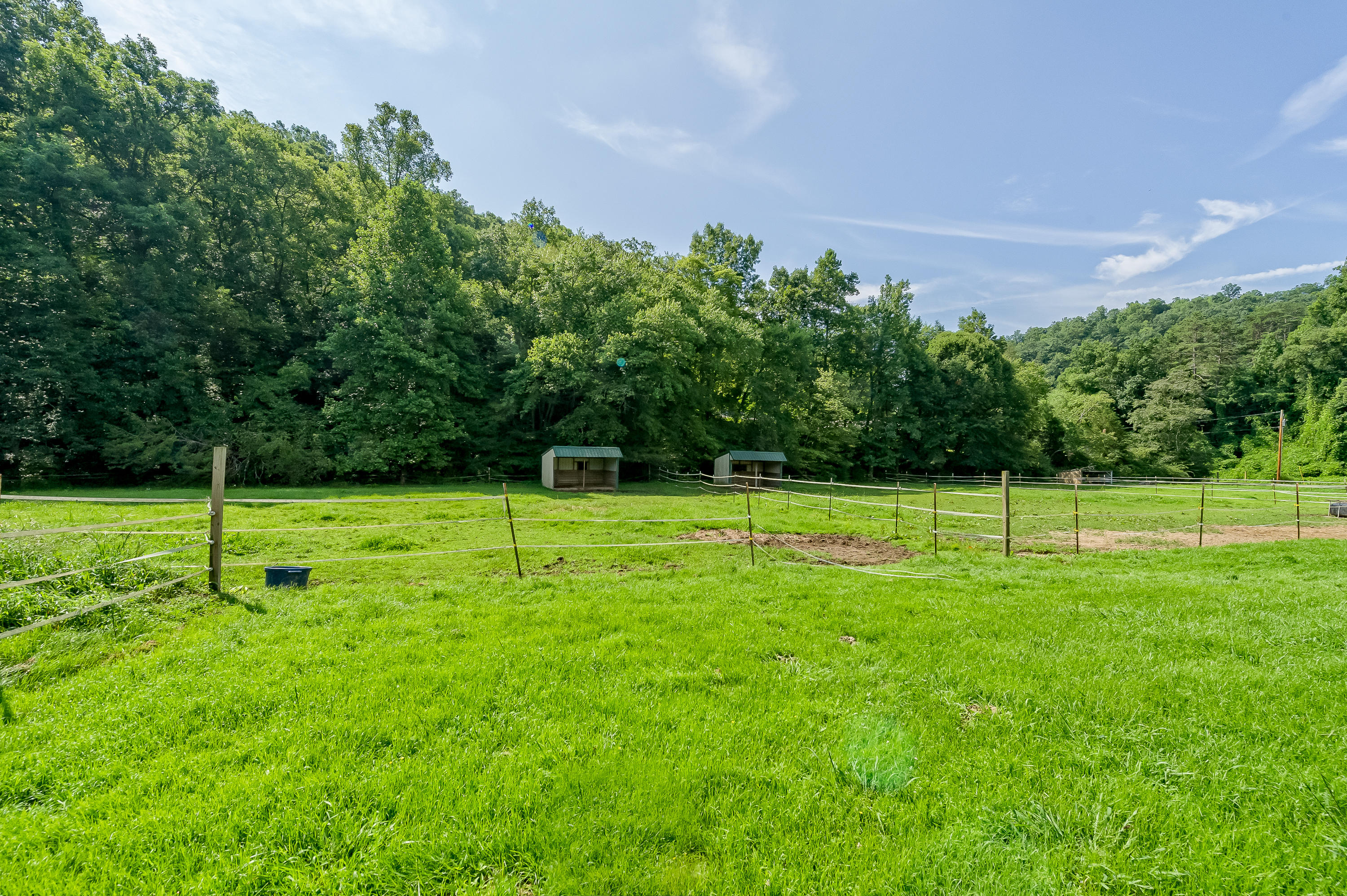 203 Charles Butler Road Oliver Springs, TN 37840 - Photo 17 of 40 203 Charles Butler Road