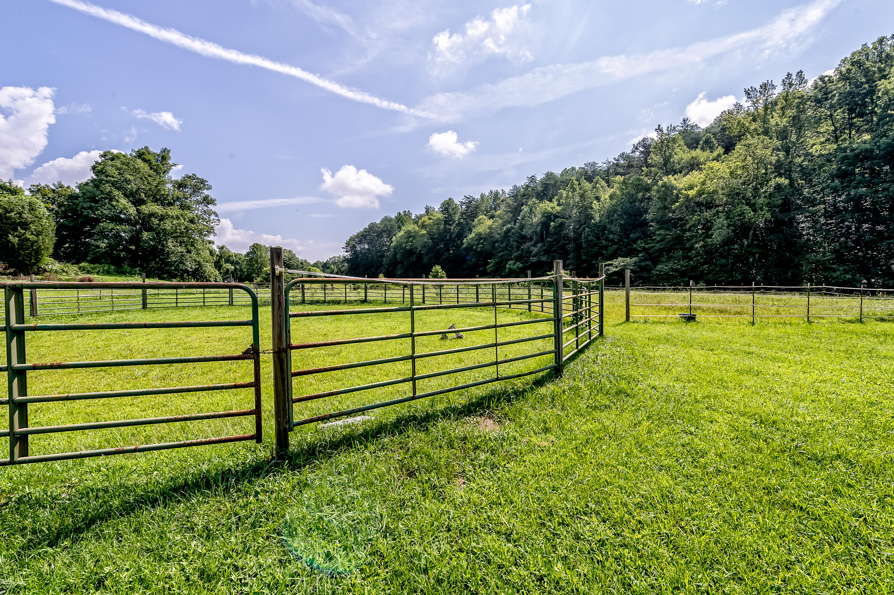 203 Charles Butler Road Oliver Springs, TN 37840 - Photo 18 of 40 203 Charles Butler Road