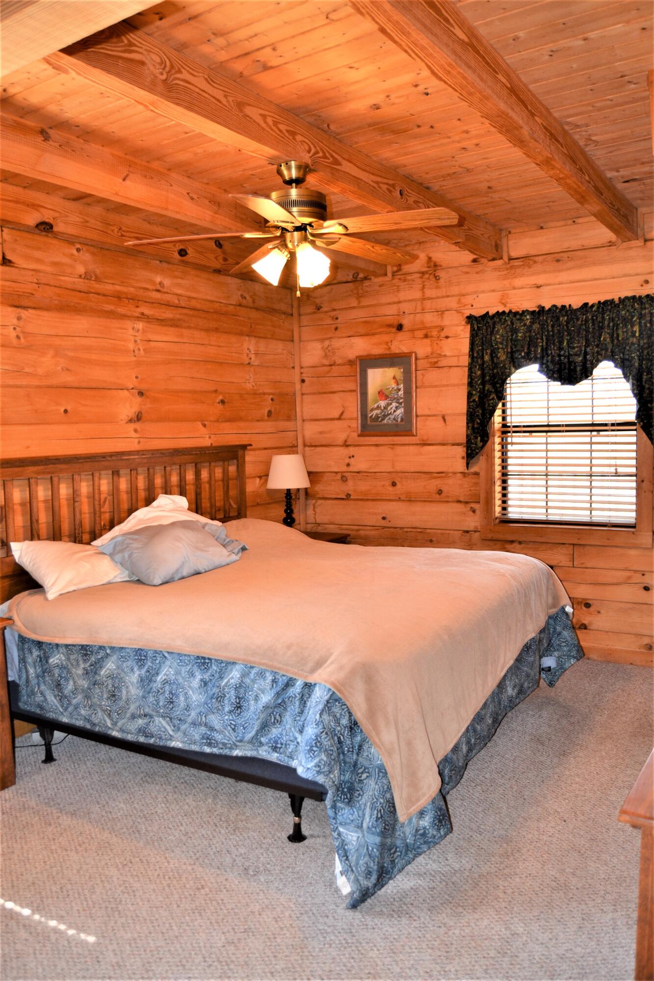 231 Bluff View Road New Tazewell, TN 37825 - Photo 28 of 35 DSC_0015