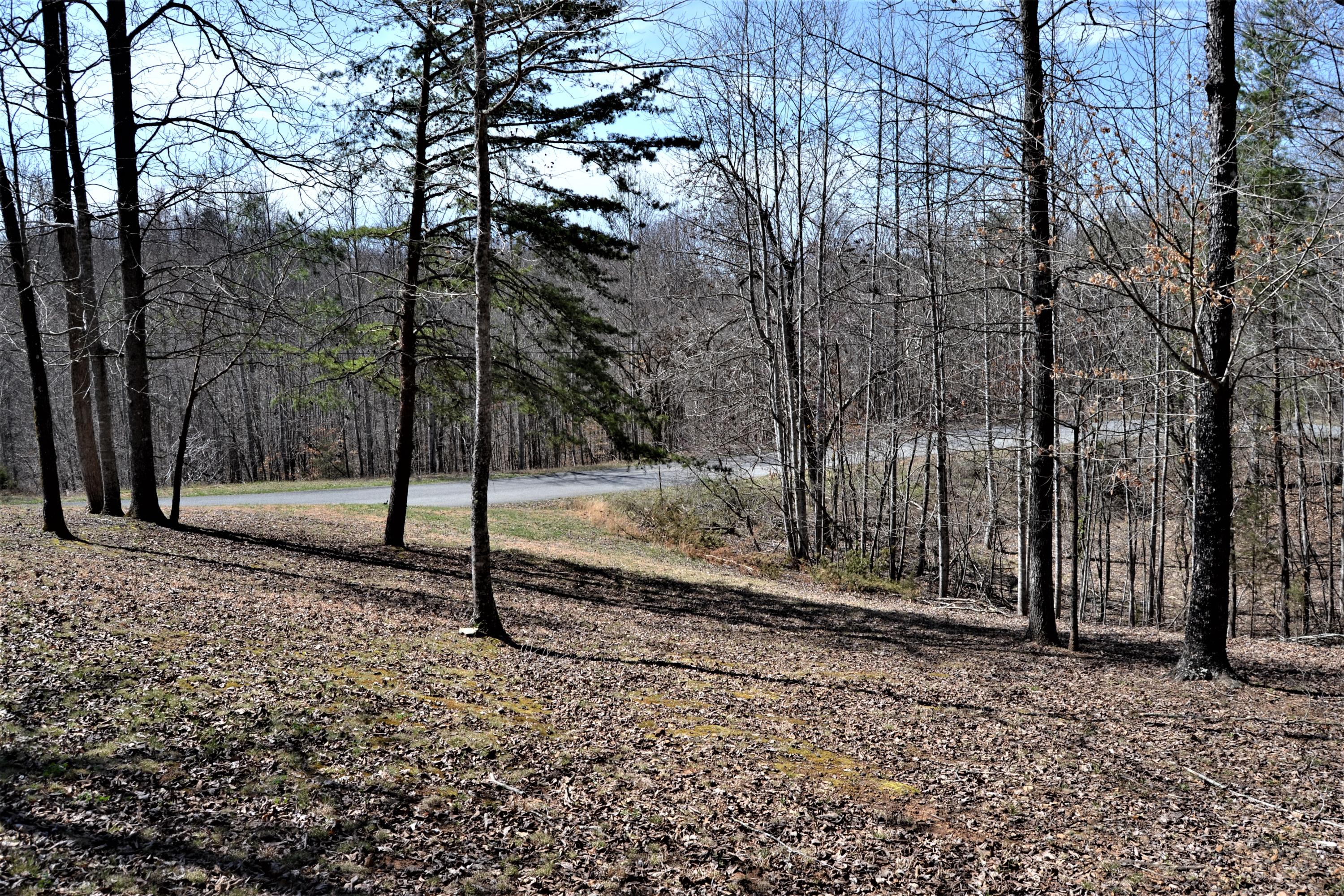 231 Bluff View Road New Tazewell, TN 37825 - Photo 32 of 35 DSC_0025 (2)