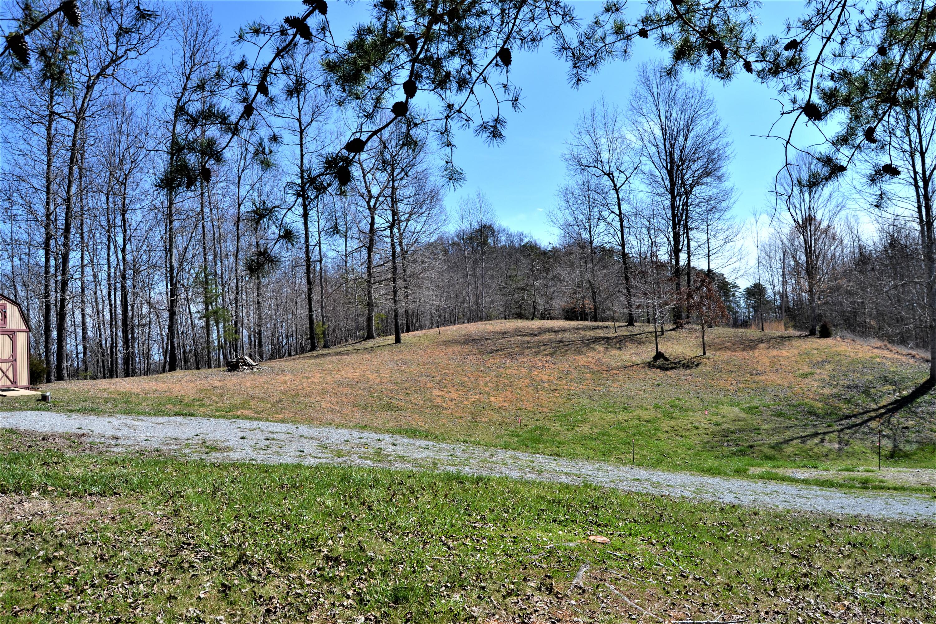 231 Bluff View Road New Tazewell, TN 37825 - Photo 33 of 35 DSC_0027