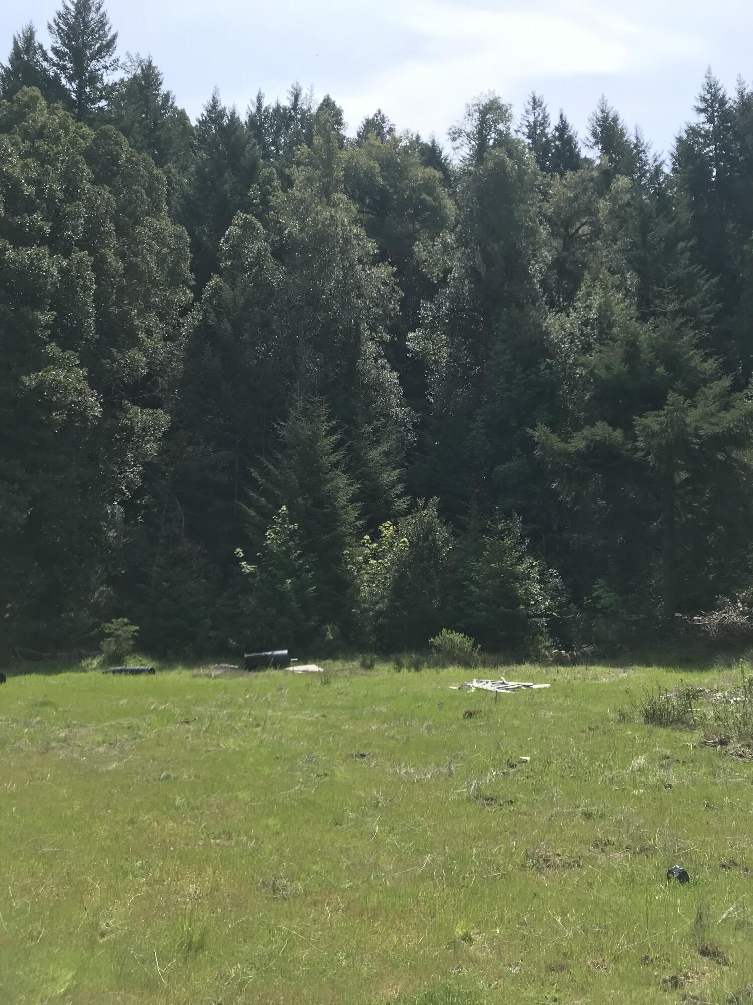 40-acres 40-acres Dugins Mill Road Point Arena, CA 95468 - Photo 20 of 24