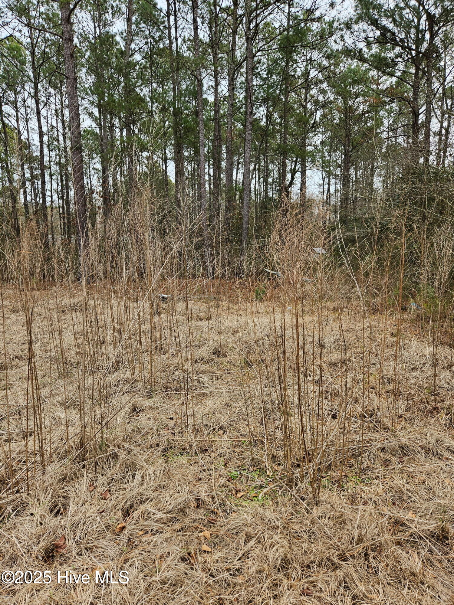 C9551067-5137-48B3-B84D-DDF06BE13051