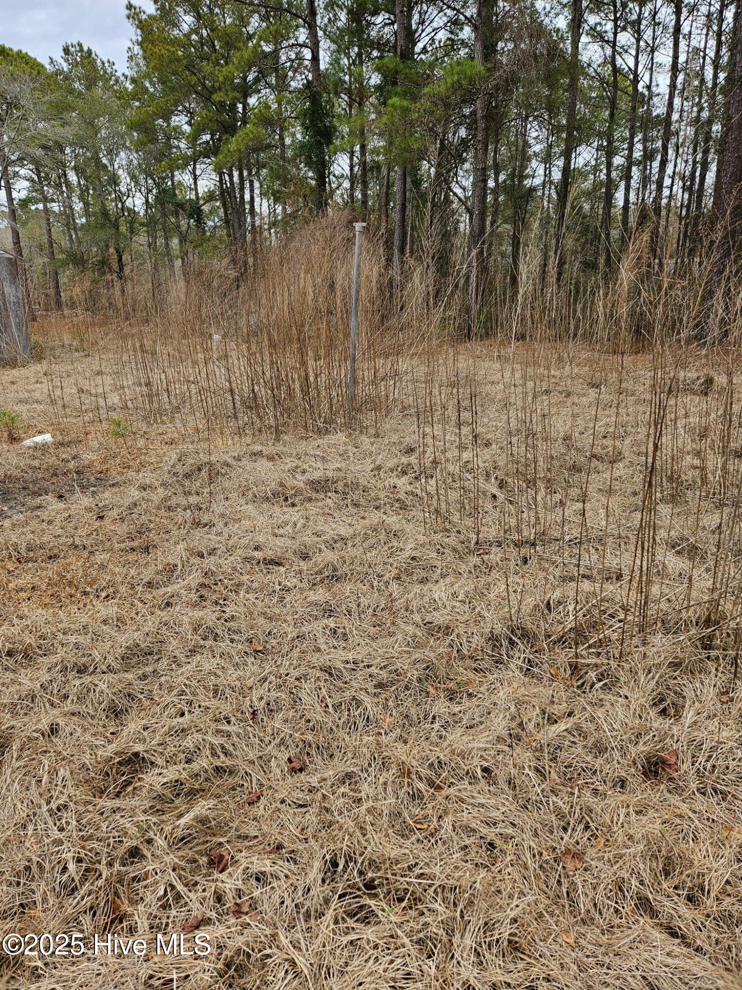 247 Old Ramsey Road Burgaw, NC 28425 - Photo 2 of 9 FAEB3BE4-0362-4042-A456-B6E4D869FD39