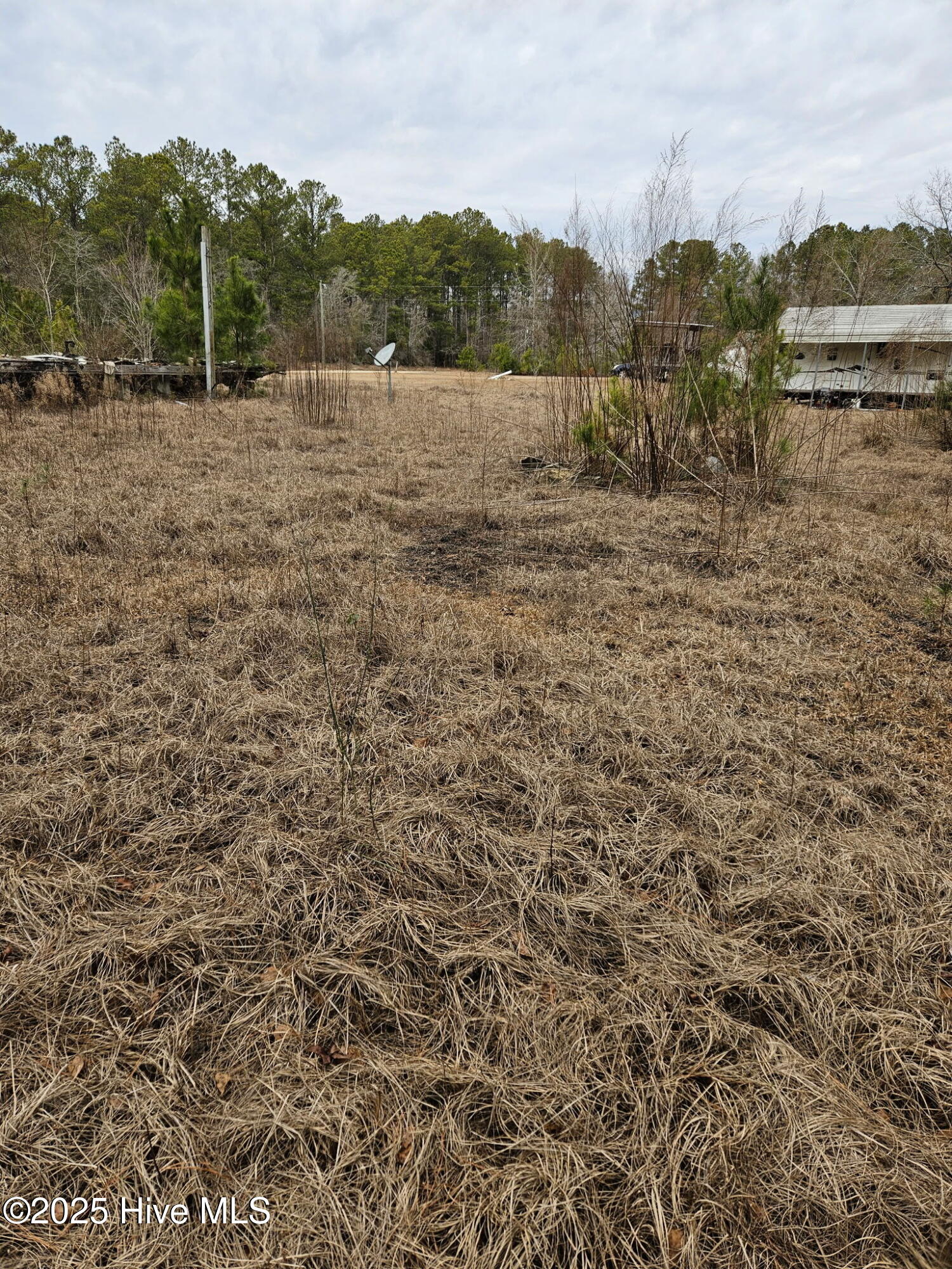 247 Old Ramsey Road Burgaw, NC 28425 - Photo 3 of 9 34AA660A-06CB-4104-88BE-A9239FC4305A
